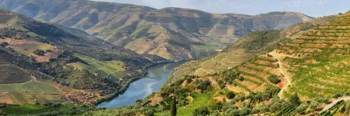 Amadeus Douro